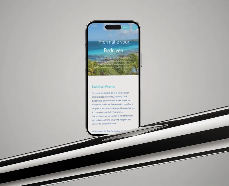 Detail van de website voor KVK Bonaire, 1